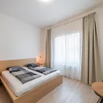 Abri Praha